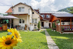 Pensiunea Montan Busteni Buşteni